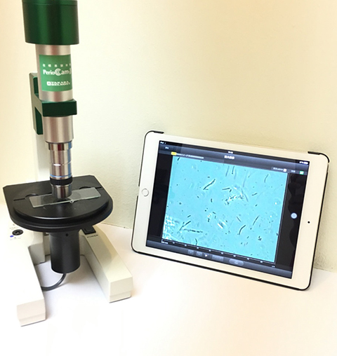 位相差顕微鏡 位相差顕微鏡を用いて歯垢（プラーク）を検査すると、細菌の活動性を調べる事ができます。